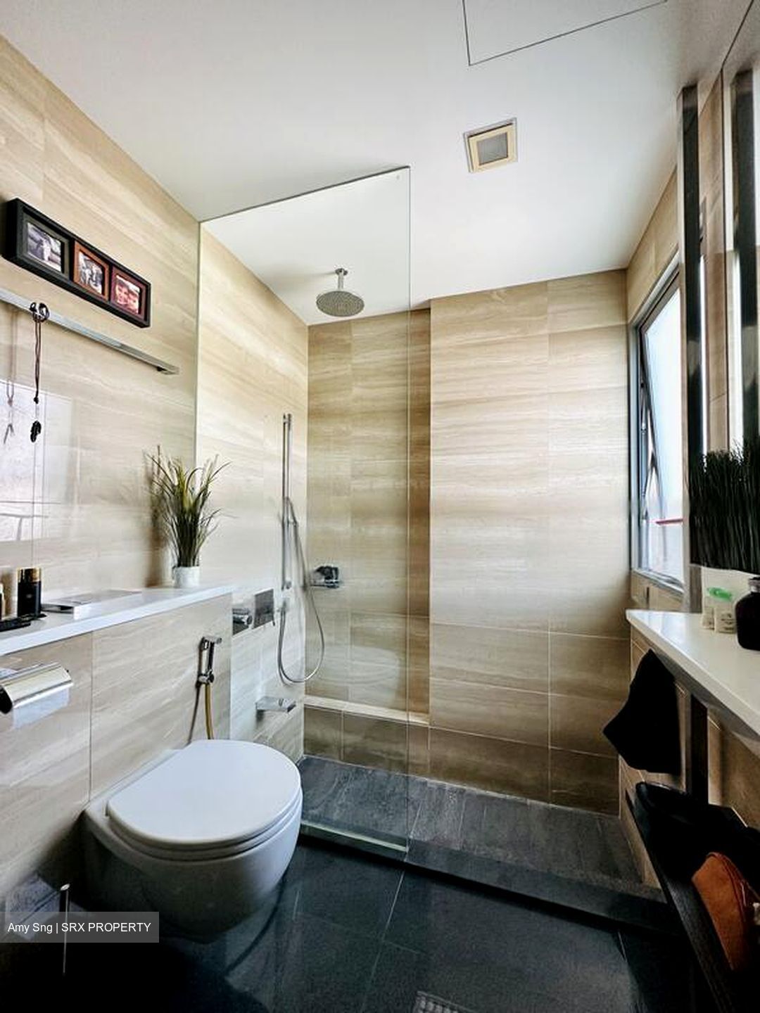 Adria (D11), Apartment #485872741